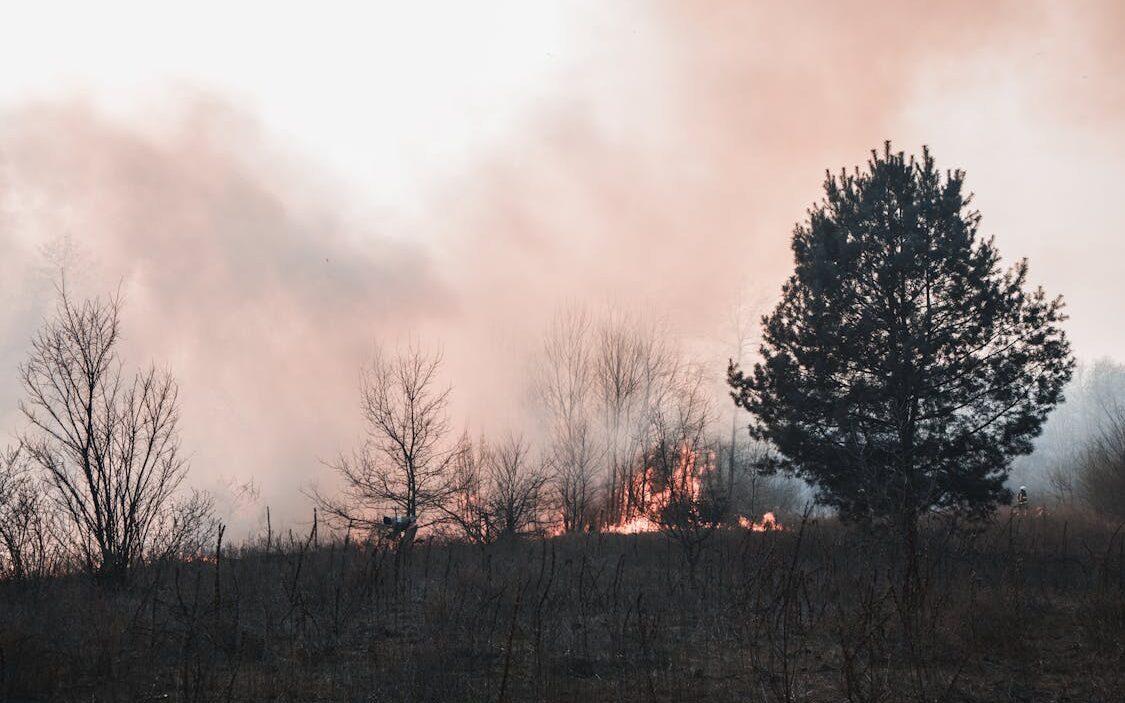 Dwa pożary traw i nieodpowiedzialni spacerowicze zakłócający pracę strażaków /fot. pexels (zdjęcie poglądowe)